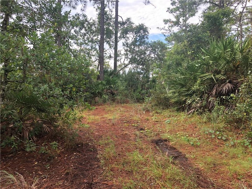 Vendido Recientemente: $55,000 (1.84 acres)