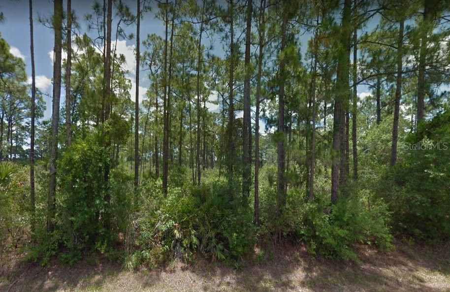 Vendido Recientemente: $55,000 (4.44 acres)