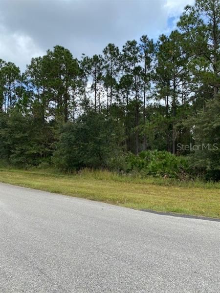 Recently Sold: $14,000 (1.01 acres)