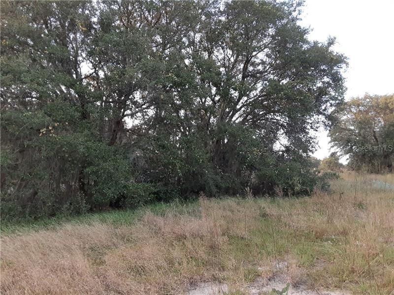 Recently Sold: $20,000 (0.16 acres)