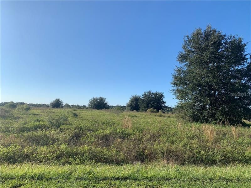 Recently Sold: $89,000 (2.38 acres)