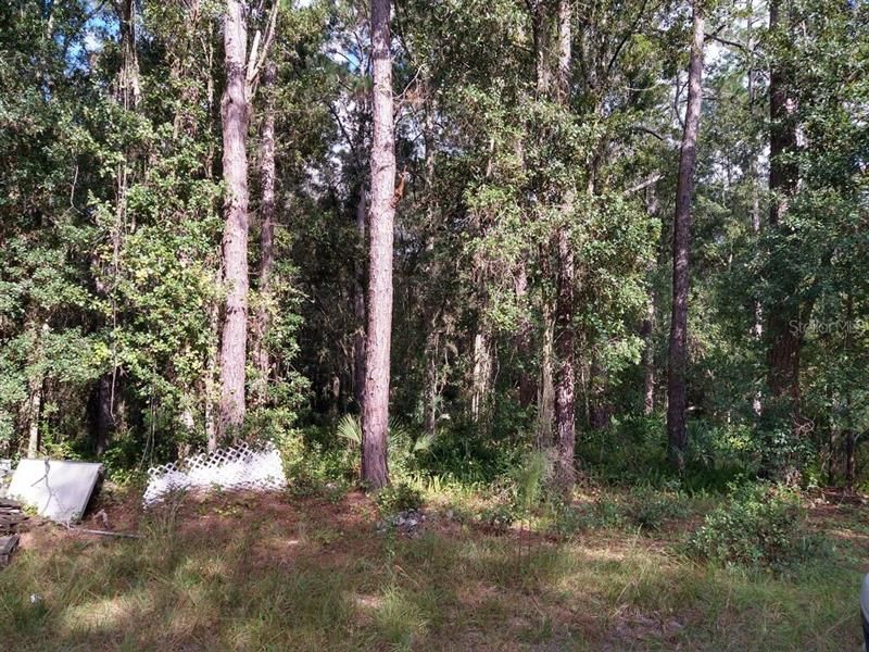 Recently Sold: $38,500 (1.50 acres)