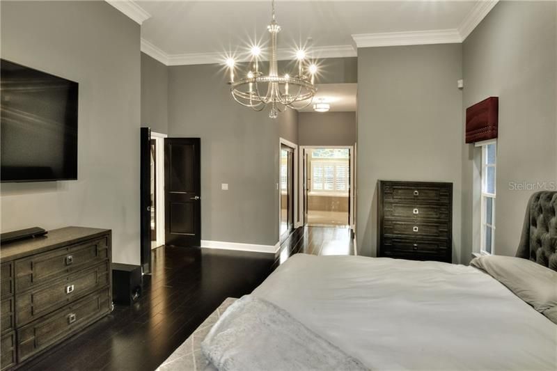 Double doors open to the master bedroom.  Dramatic lighting with contemporary chandelier.