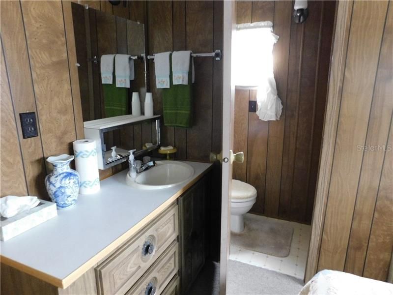 Master 1/2 Bathroom