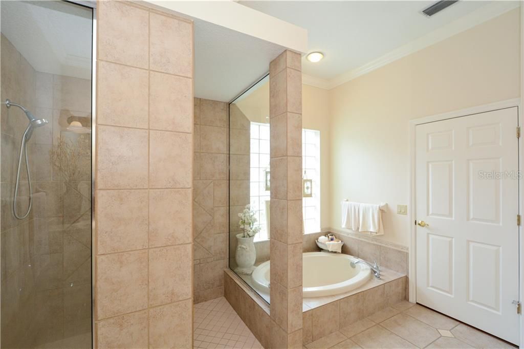 Master bath view from walk in shower area