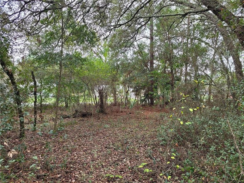 Recently Sold: $5,000 (0.24 acres)