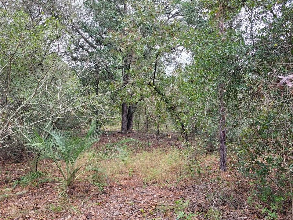 Recently Sold: $5,000 (0.24 acres)