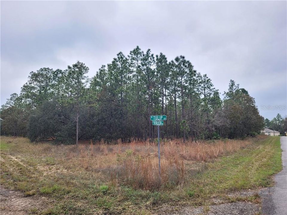 Recently Sold: $5,000 (0.32 acres)