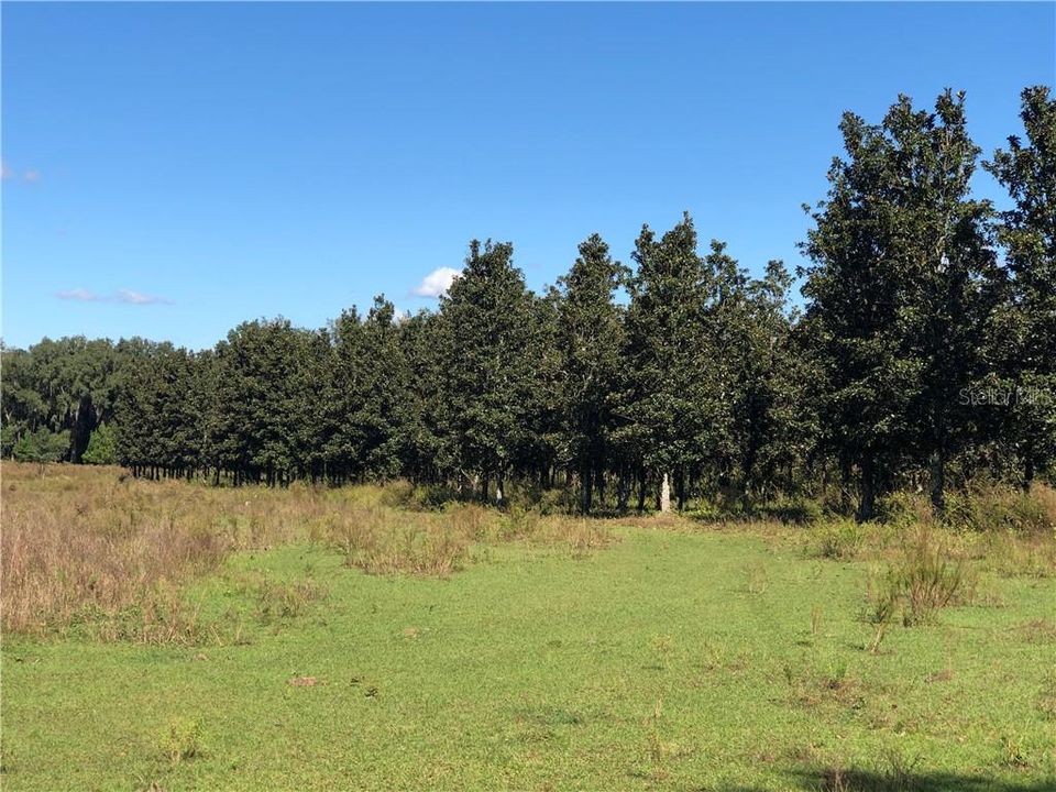 Recently Sold: $910,000 (52.30 acres)