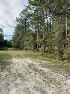 Recently Sold: $29,900 (1.16 acres)