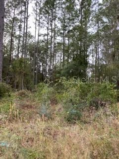 Recently Sold: $29,900 (1.16 acres)