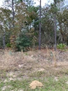 Recently Sold: $29,900 (1.16 acres)