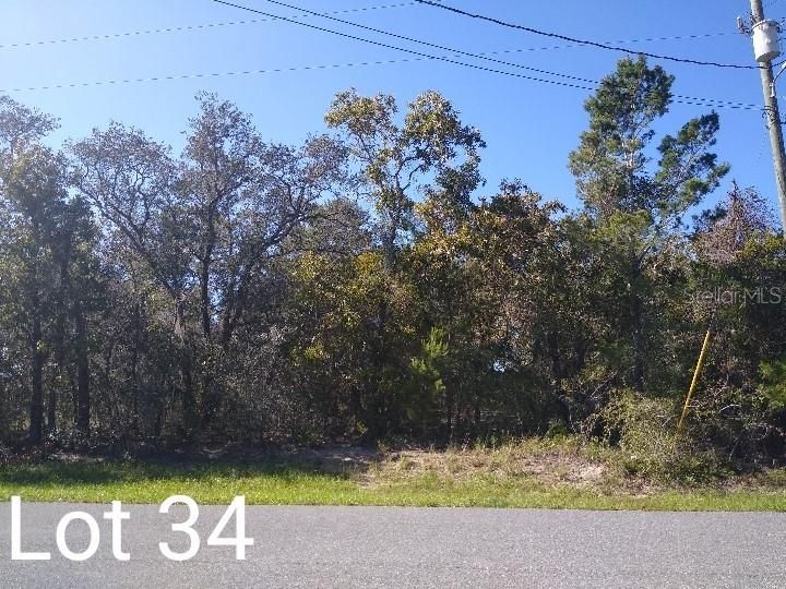 Recently Sold: $12,500 (0.17 acres)