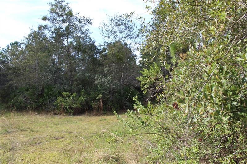 Recently Sold: $175,000 (37.00 acres)