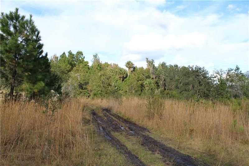 Recently Sold: $175,000 (37.00 acres)