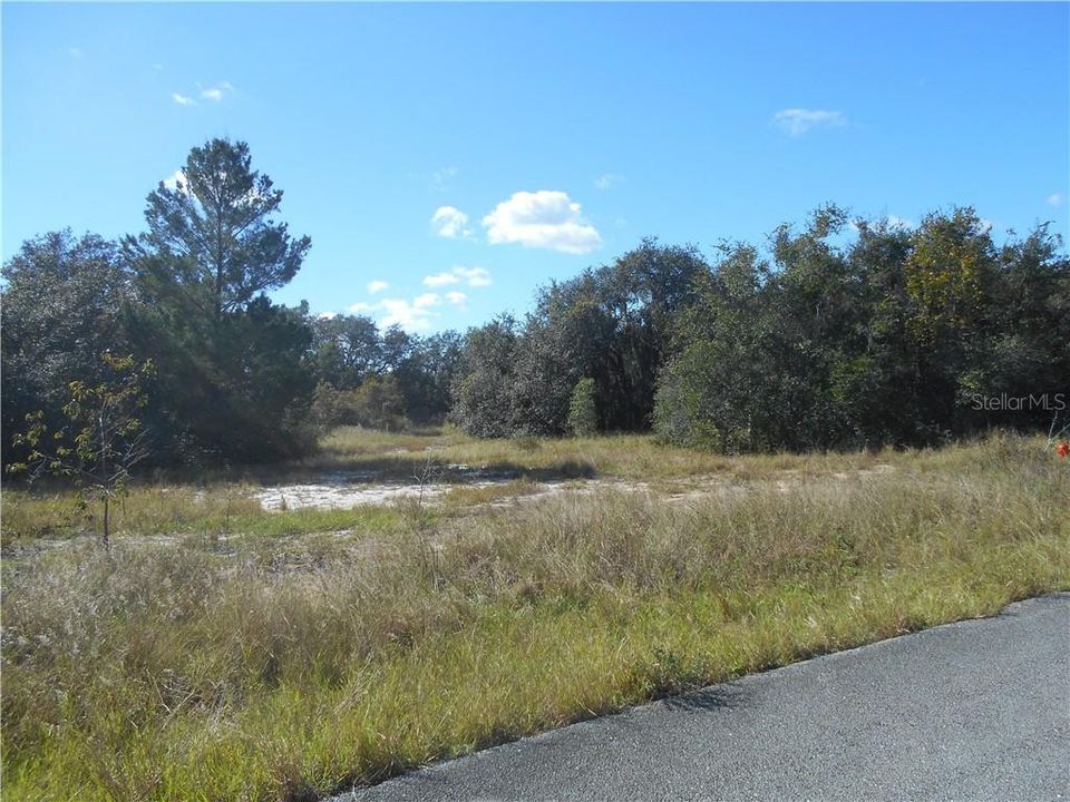 Recently Sold: $32,000 (0.45 acres)