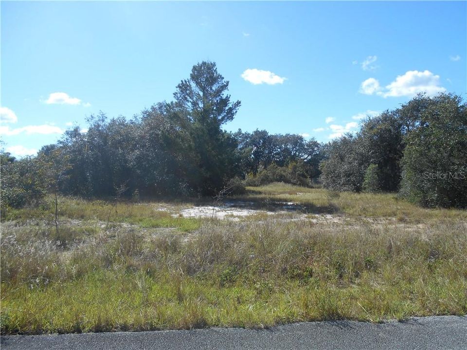 Recently Sold: $32,000 (0.45 acres)