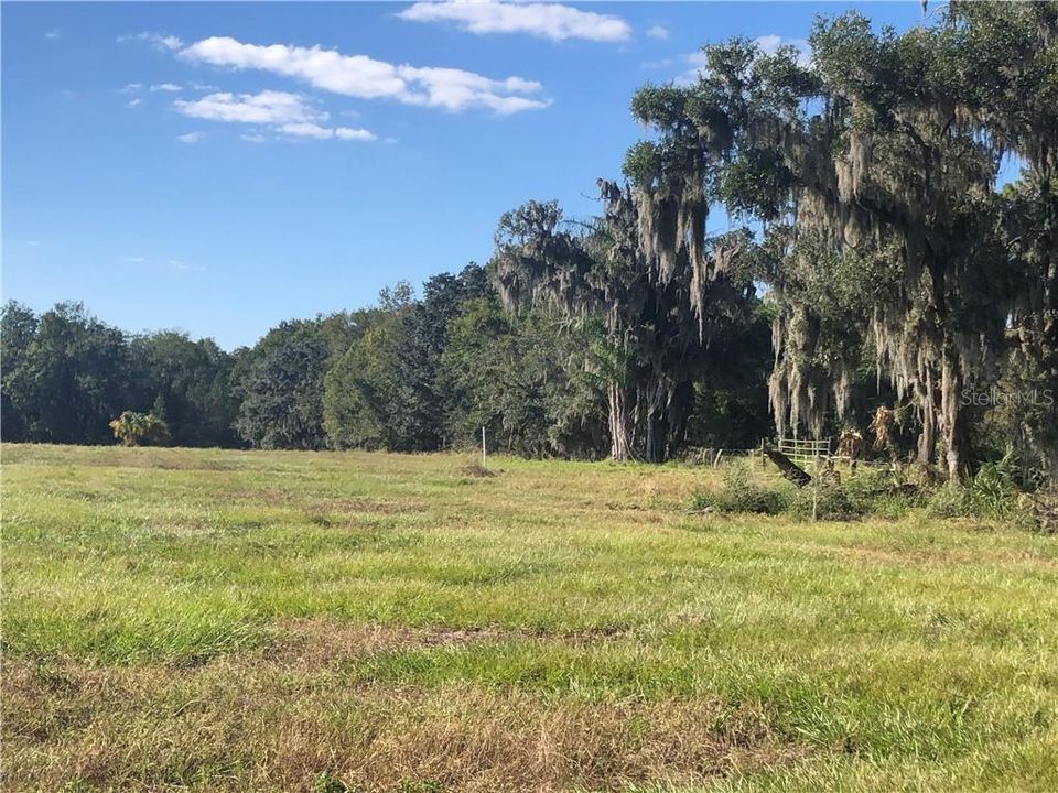 Recently Sold: $120,000 (5.00 acres)