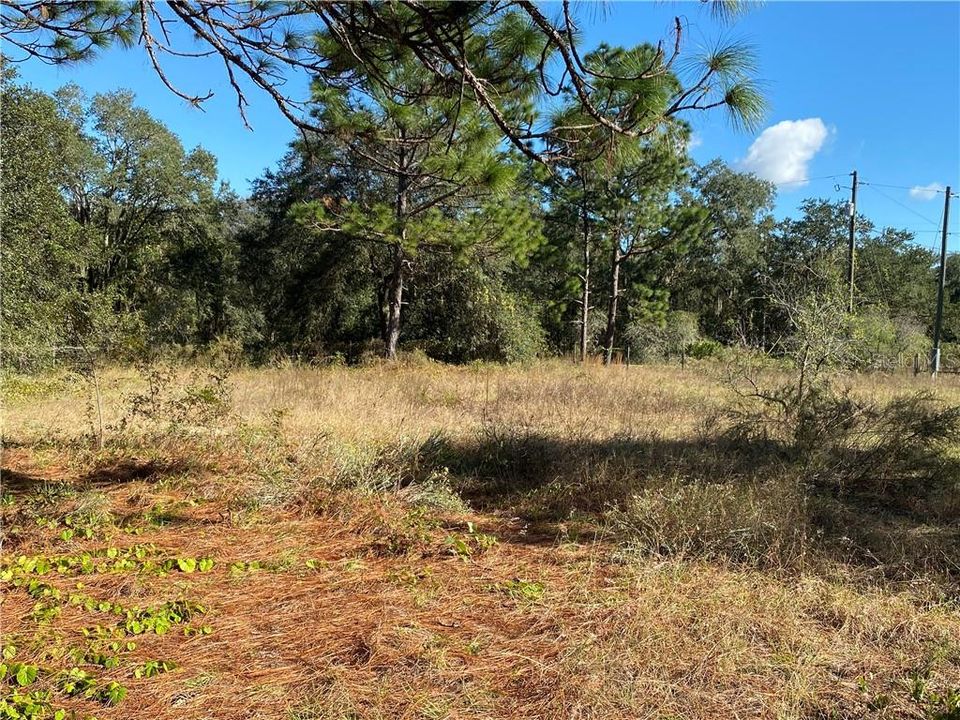Recently Sold: $39,900 (3.00 acres)
