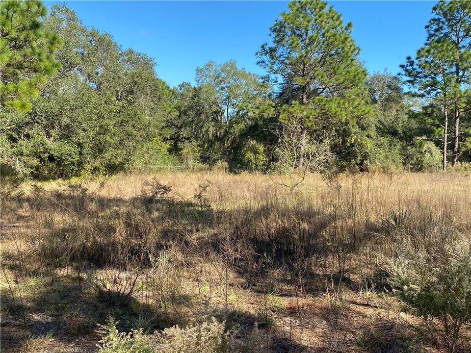 Recently Sold: $39,900 (3.00 acres)