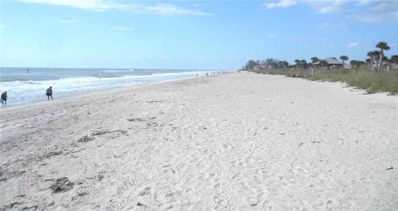 Walk the Beach daily looking for sharks teeth.