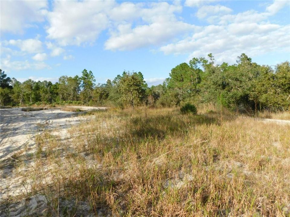 Recently Sold: $15,500 (0.67 acres)