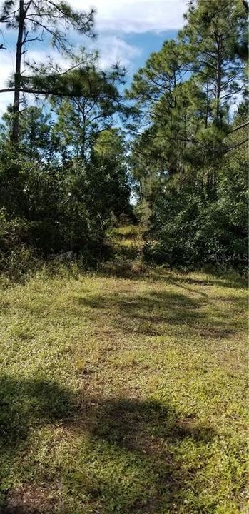 Recently Sold: $74,900 (6.00 acres)