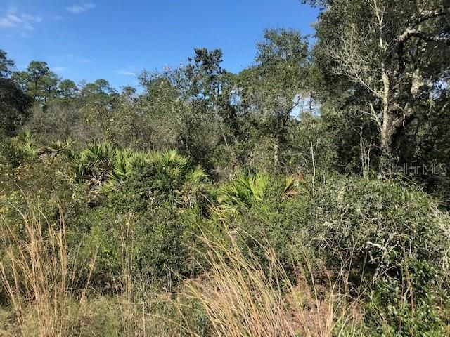 Vendido Recientemente: $39,900 (4.00 acres)