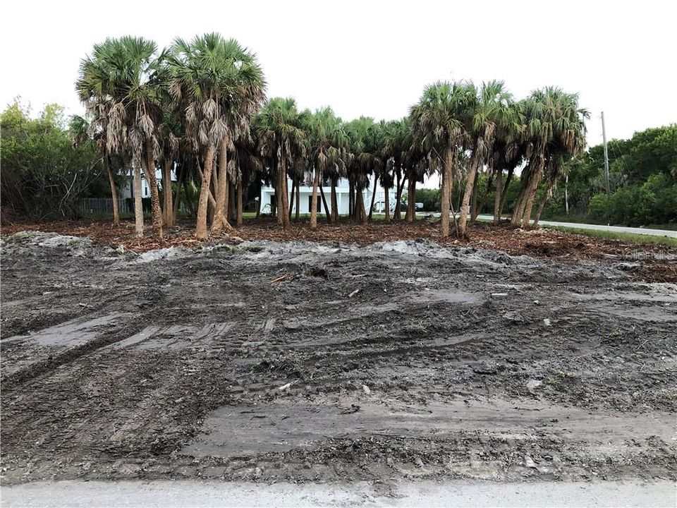 最近售出: $1,295,000 (0.35 acres)