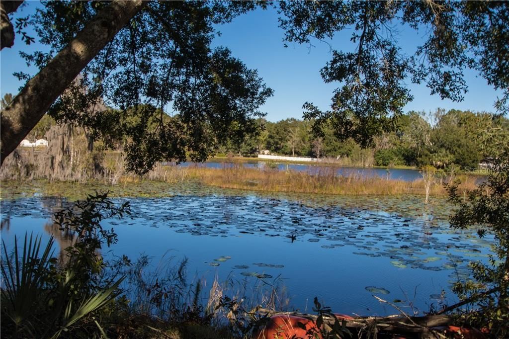 Недавно продано: $100,000 (2.99 acres)