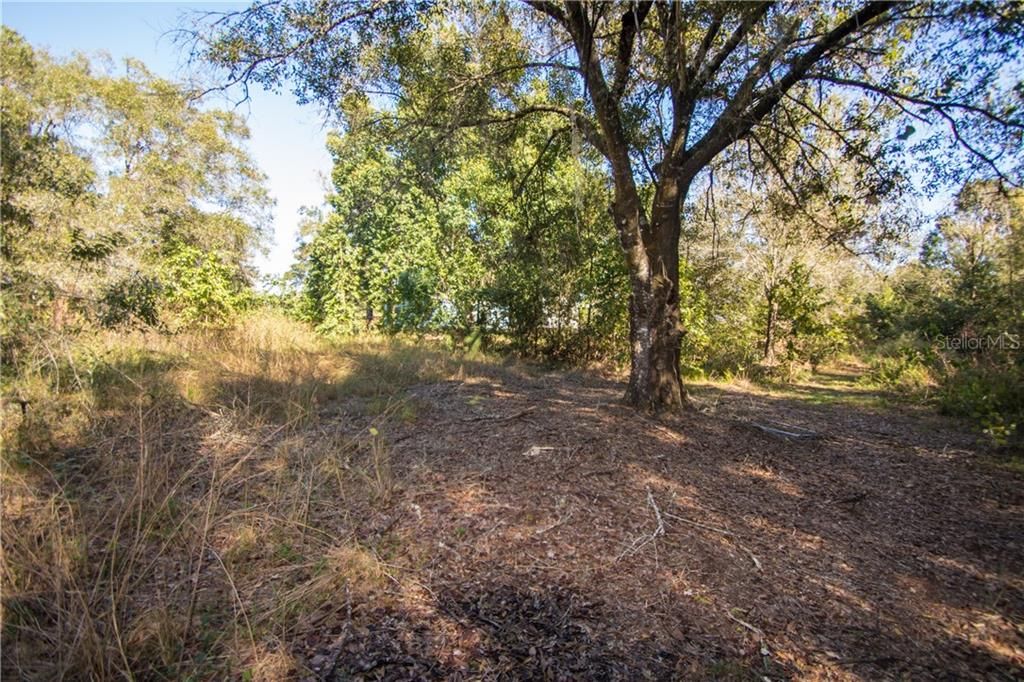 Recently Sold: $100,000 (2.99 acres)