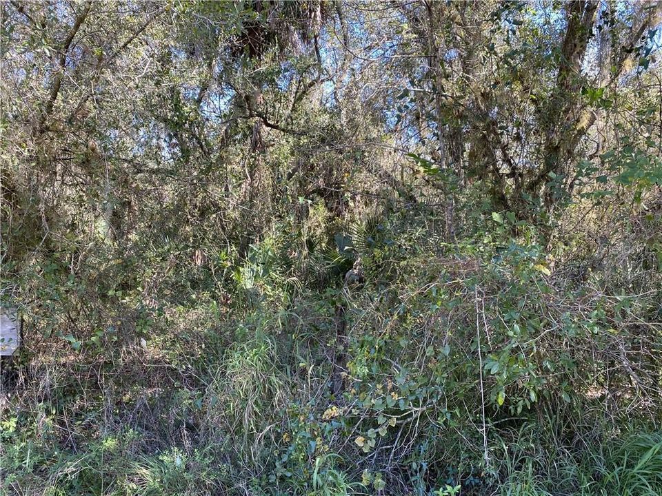 Recently Sold: $64,000 (2.67 acres)