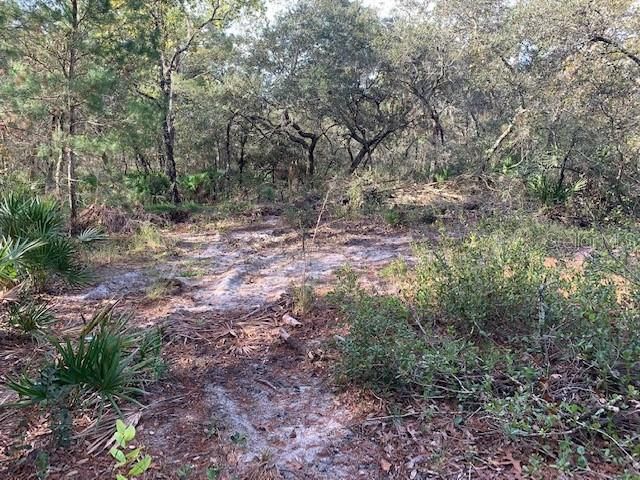 AREA HAS BEEN CLEARED FOR HOMESITE