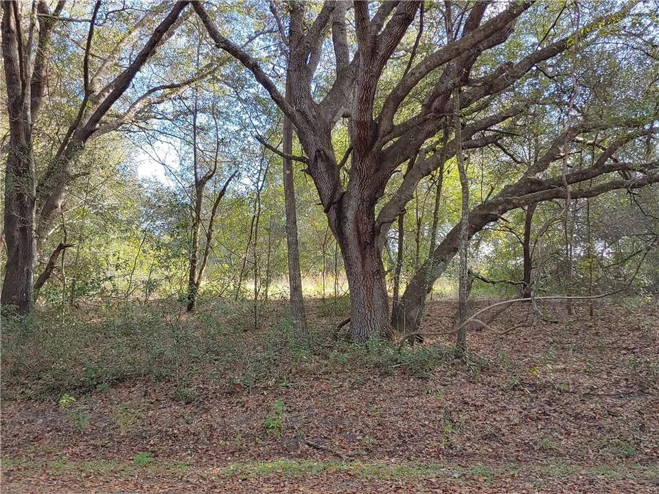 Recently Sold: $4,995 (0.28 acres)