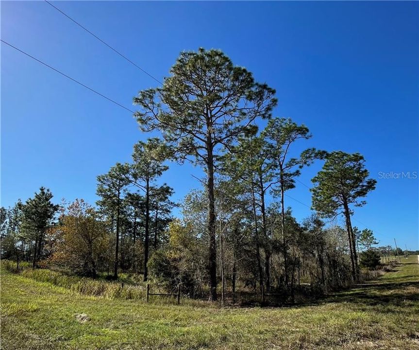 Recently Sold: $45,000 (5.00 acres)
