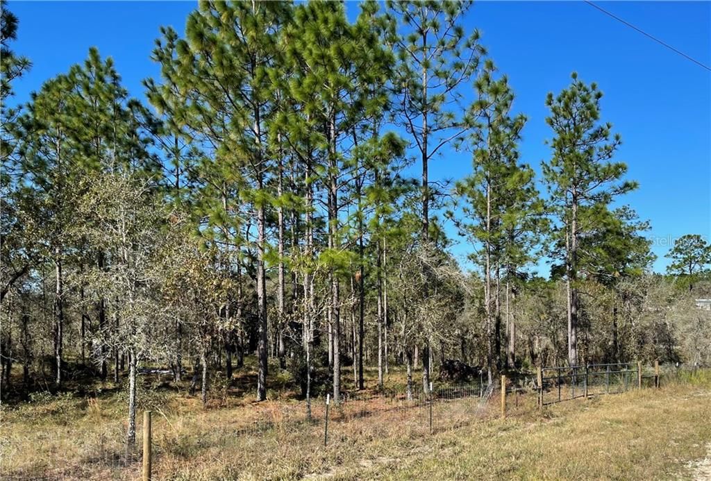 Recently Sold: $45,000 (5.00 acres)