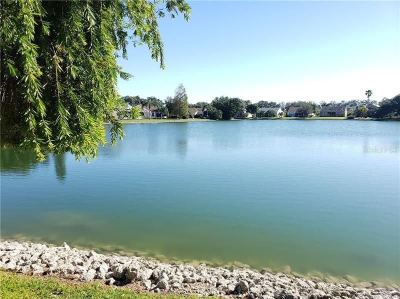 Lake view at rear of property