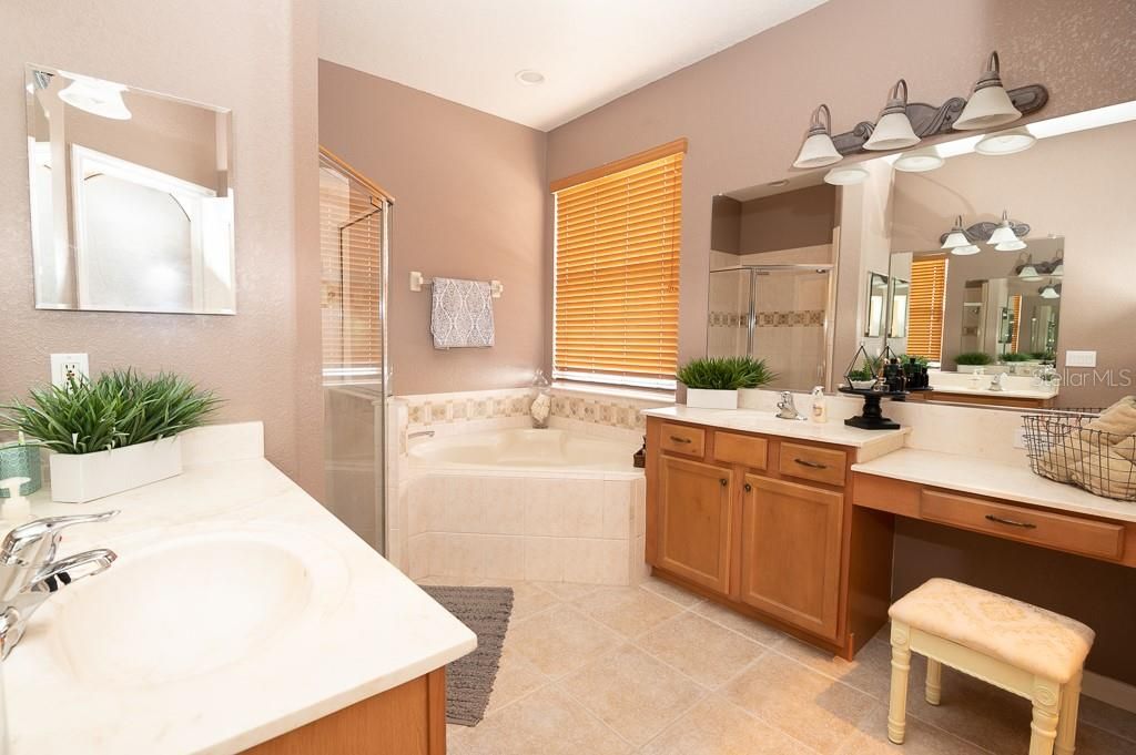 Spacious Master suite. Bath tub and walk in shower.