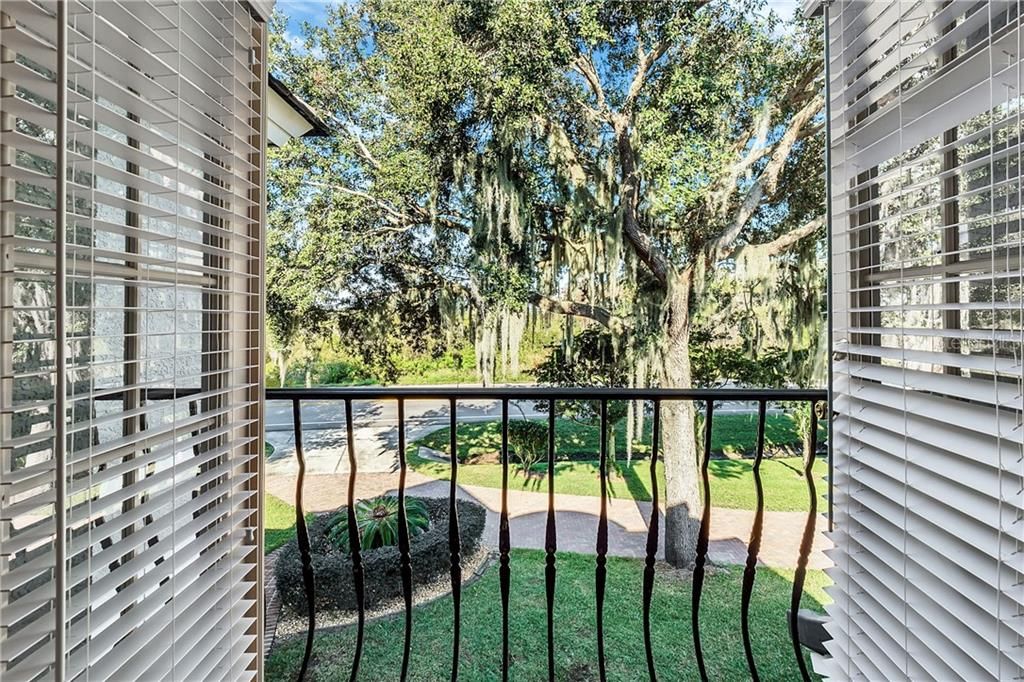 Views of the conservation marsh from the balcony.