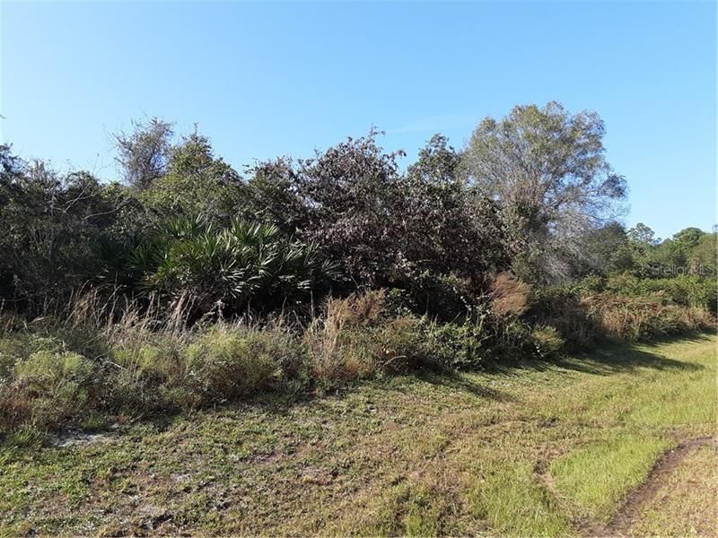 Recently Sold: $77,000 (4.40 acres)