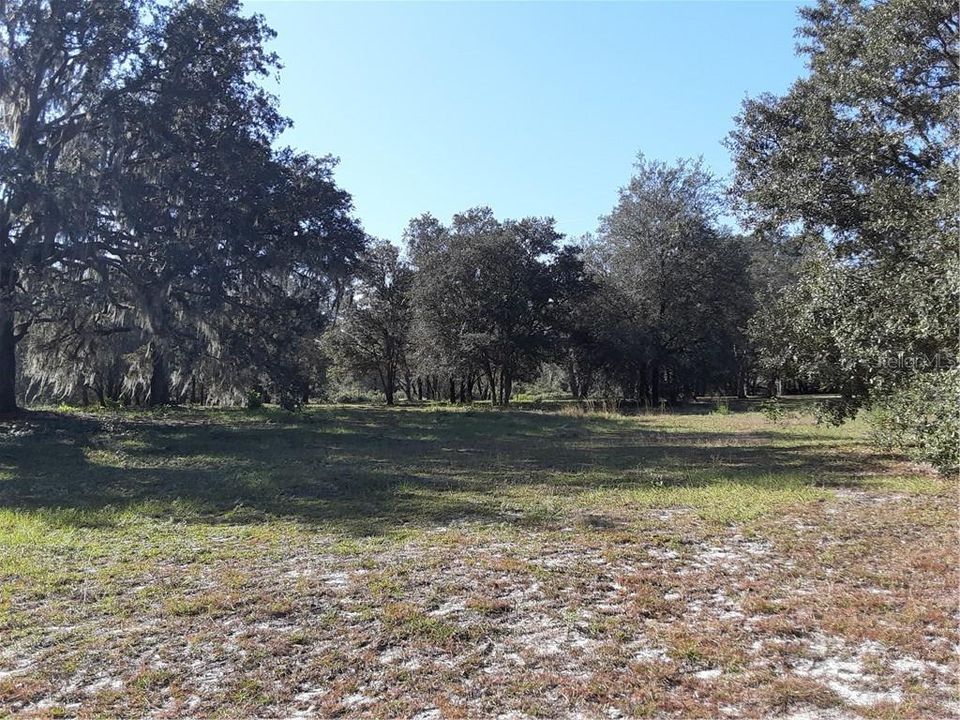 Vendido Recientemente: $77,000 (4.40 acres)