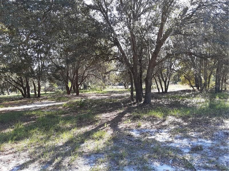 Recently Sold: $77,000 (4.40 acres)