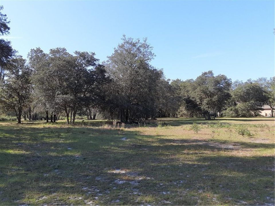 Vendido Recientemente: $77,000 (4.40 acres)