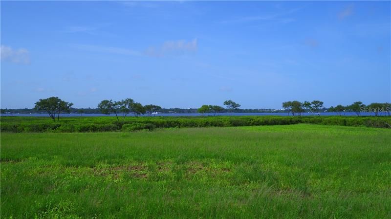 Vendido Recientemente: $425,000 (0.34 acres)