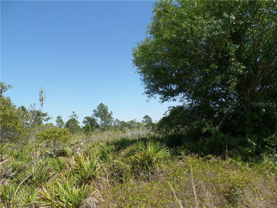 Recently Sold: $39,999 (5.11 acres)