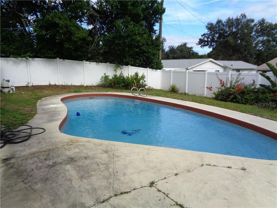 Pool and Backyard