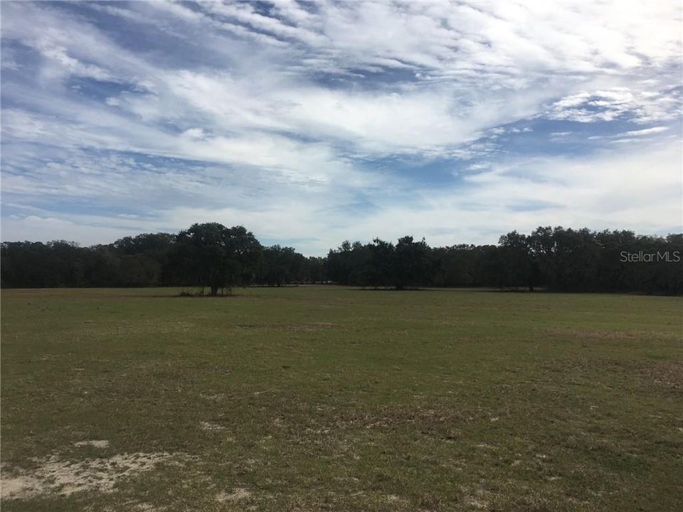 Recently Sold: $950,000 (90.41 acres)