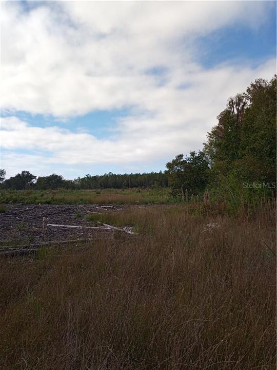 Recently Sold: $114,900 (61.27 acres)