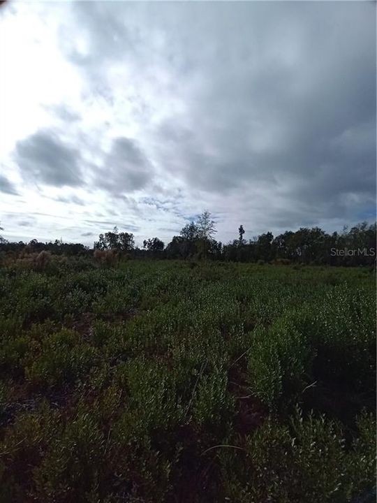 Недавно продано: $114,900 (61.27 acres)