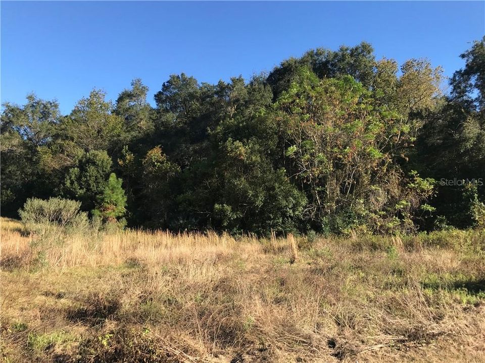 Vendido Recientemente: $85,000 (1.01 acres)